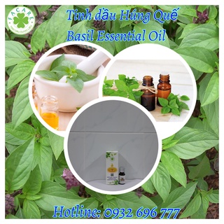 Tinh dầu Húng Quế Basil essential oil giúp dưỡng tóc, kích thích tiêu hóa - 10ml/50ml/100ml