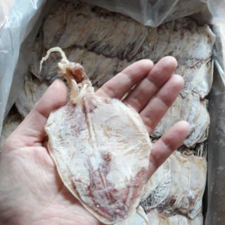 [500g] Mực khô Vân Đồn sz mini 100-120con/kg