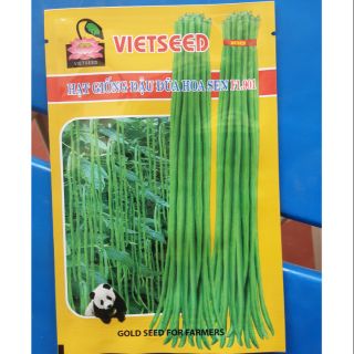 Hạt giống đậu đũa siêu quả gói 20g
