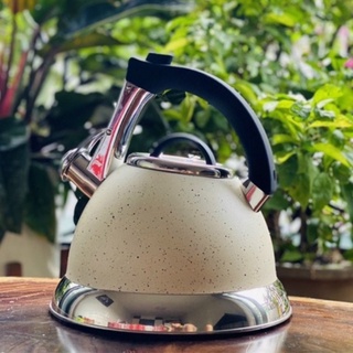 Ấm đun nước inox Faster 3L