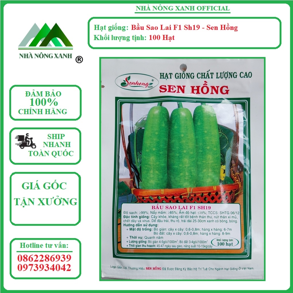 Hạt Giống BẦU SAO LAI F1 SH19 - SEN HỒNG - Gói 100 hạt
