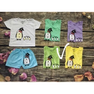 Bộ chim cánh cụt cho sỉ