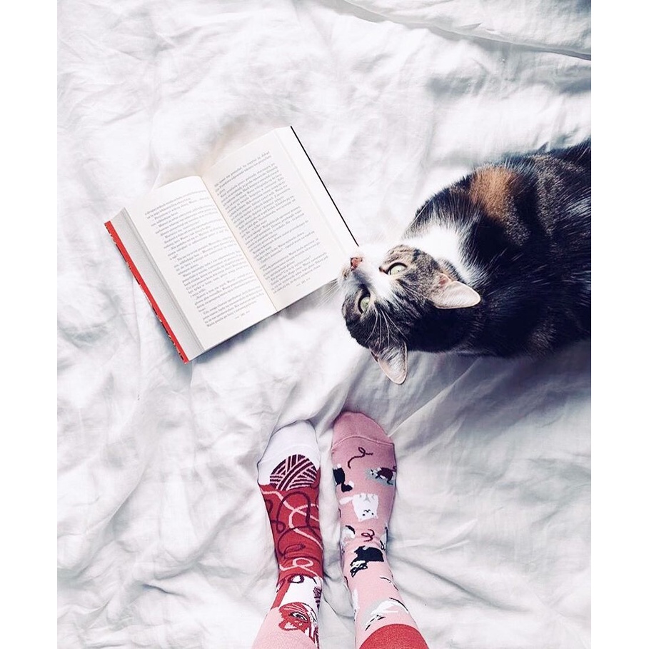 Tất(vớ) Nam Nữ họa tiết PLAYFUL CAT chất liệu cotton mềm mại đi êm chân và thấm hút mồ hôi và dễ chịu - PHÊ TẤT