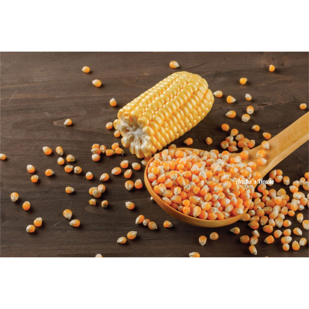 🍿 1kg Bắp Mỹ Khô Nổ Bắp Rang Bơ  Meanche, Tỷ lệ nổ cao, Popcorn Hàng Nhập Khẩu Mỹ🍿 Dùng Làm Bắp Rang Bơ Như Rạp Phim CGV