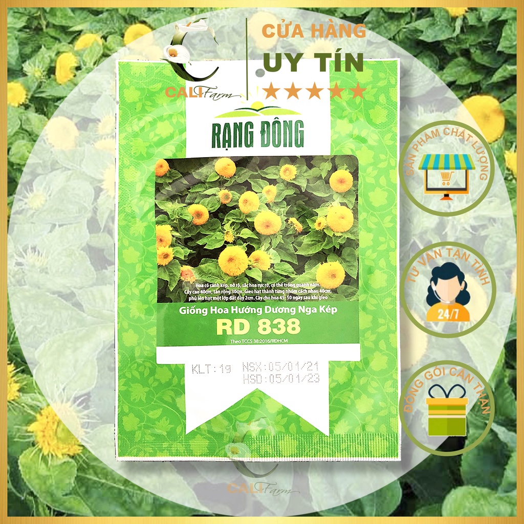 Hạt giống Hoa Hướng Dương Nga Kép RD 838 (1gr)