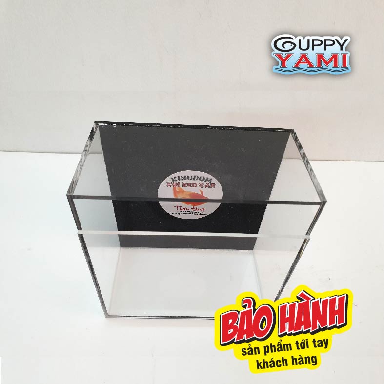 Keo Show cá Guppy mica siêu trong, Hồ Show cá Betta 2:1có thể show nằm & đứng 15x8x15, Bể Show cá Acrylic