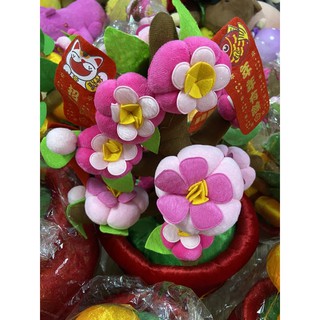 Gấu của hồng nhung