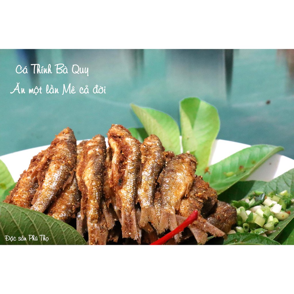 CÁ THÍNH BÀ QUY (CÁ TRÔI NHÂN ) 500g