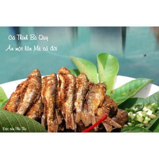 CÁ THÍNH BÀ QUY (CÁ TRÔI NHÂN ) 500g