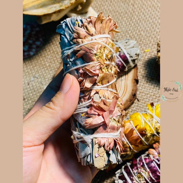 Xô Thơm Hạnh Phúc, Xô thơm nhập khẩu Mỹ, Xô Thơm Hoa Bất Tử, Size 10cm
