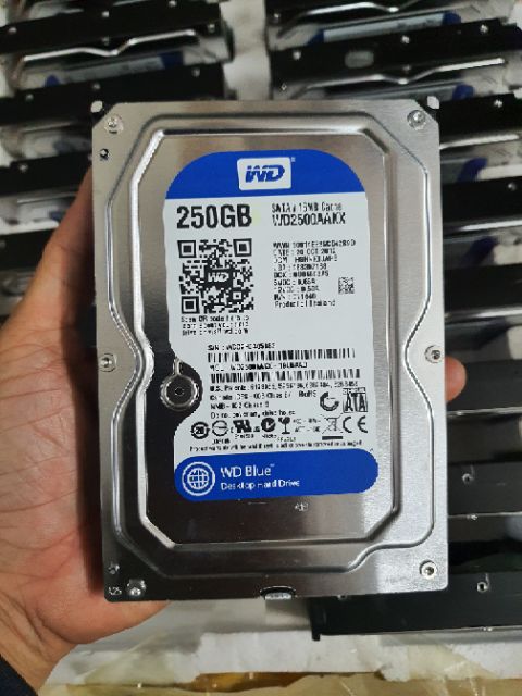 HDD 250G và 500G 3.5 WD hàng bóc máy Đồng Bộ hỗ trợ AE Ghost sẵn win | BigBuy360 - bigbuy360.vn