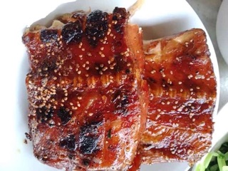Cá sấy sông đà