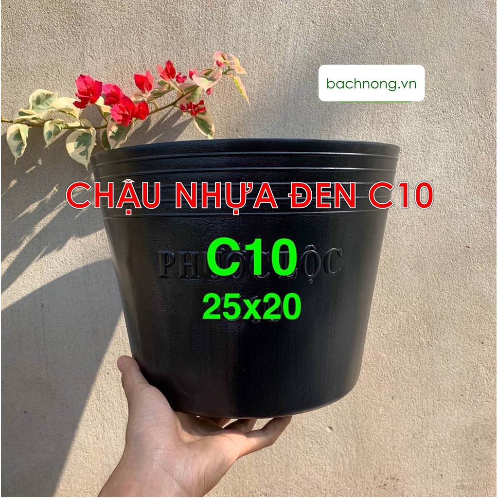 Chậu nhựa đen C10 (25x20 cm) trồng cây, trồng hoa kiểng (loại dày)