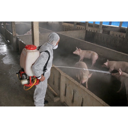 Vua Sát Trùng, Diet Nấm Vi Khuẩn, Cúm Gia Cầm, An Toàn Cho Người Và Vật Nuôi