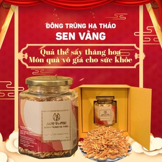 Đông trùng hạ thảo Sen Vàng - Quả thể sấy thăng hoa