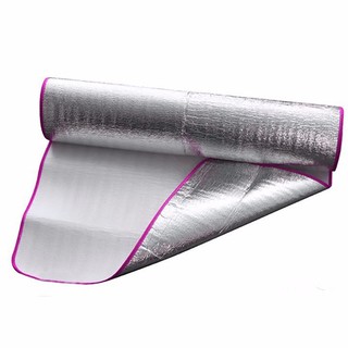 chiếu văn phòng kèm túi đựng - chiếu văn phòng