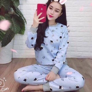 Bộ nỉ bông hàng loại 1