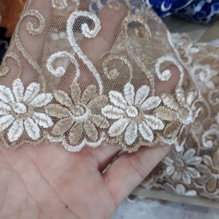 Ren phoi cao cap