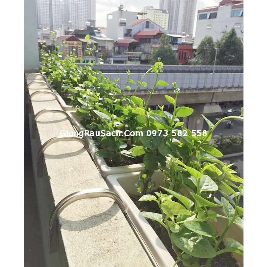 Móc Treo Chậu Trồng Hoa, Rau Hoặc Chậu Nhựa Dài - Thông Minh Bền Đẹp - Chưa Bao Gồm Chậu