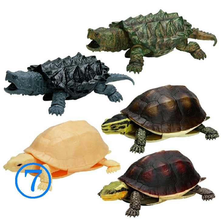 Bandai Mô Hình Đồ Chơi Rùa / Cá Sấu / Cá Sấu Đóng Kín 04 Độc Đáo