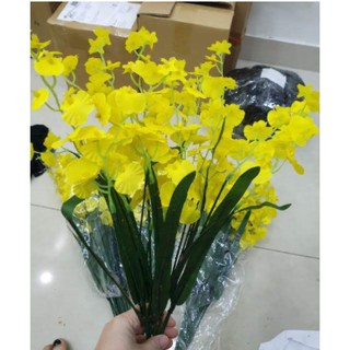 Cây giả, Lan Vũ Nữ, Lan vải, (COMBO 100 CÀNH)