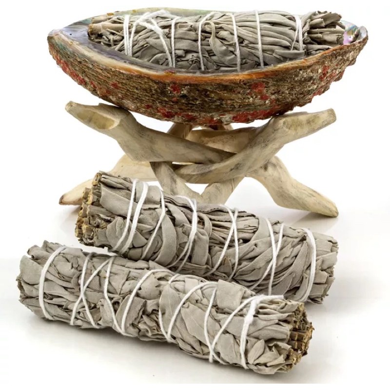 Xô thơm trắng - California White Sage - Dùng thanh tẩy