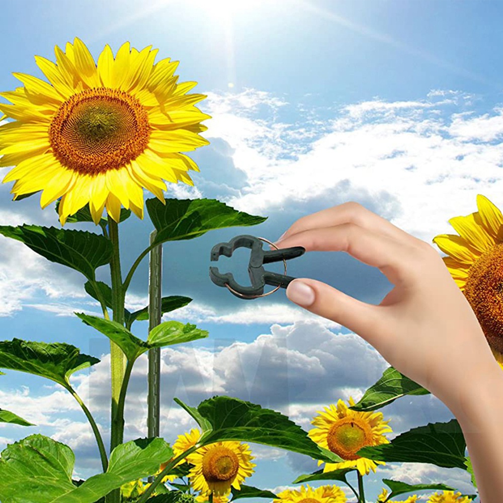 Set 10 / 20 Kẹp Cố Định Cành Cây Bằng Nhựa Tiện Dụng