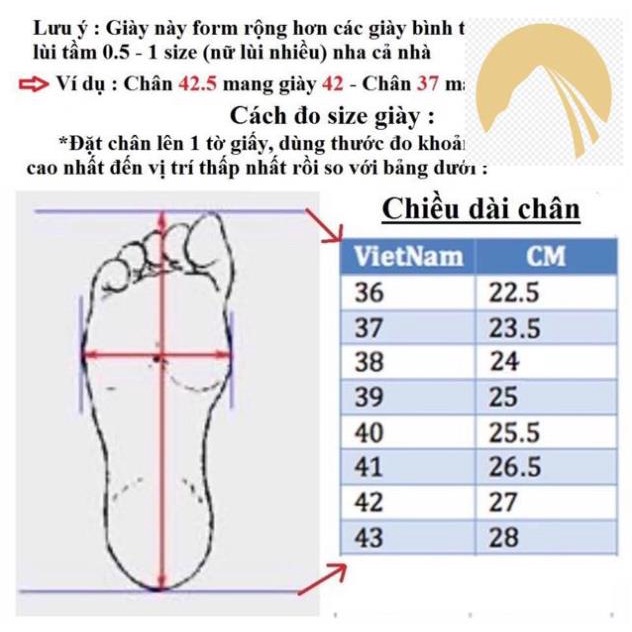 🚴🏇 Giày thể thao nam nữ đẹp giá rẻ cao cấp - giày thời trang mang couple 🚴🏇