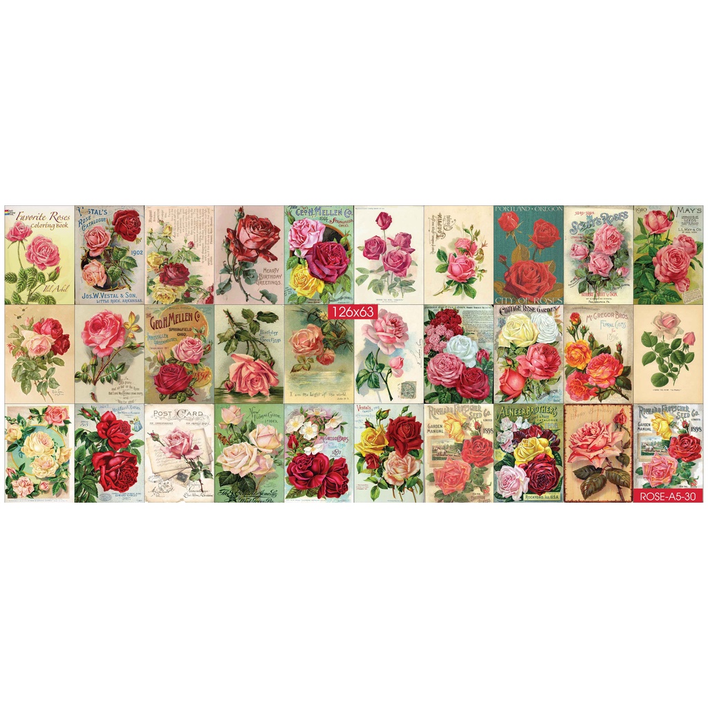 Combo Set 30 tờ Decal dán tường chủ đề Flower Rose A3,A4,A5