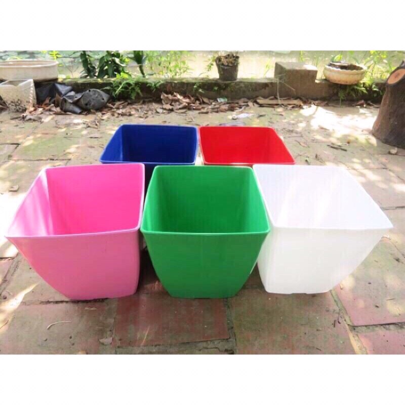 [ 10 chậu ] Chậu nhựa vuông V9 nhiều mau kt 9x9cm - Chậu nhựa vuông trồng cây hoa,cây cảnh bóng đẹp