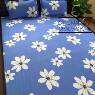 Ga gối cotton poly