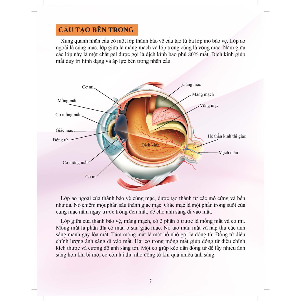 Sách - Cơ Thể Của Tôi Hoạt Động Như Thế Nào: Mắt