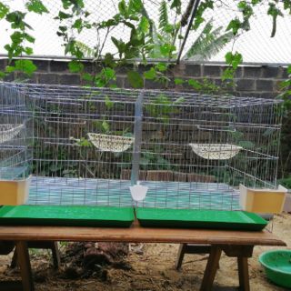 Lồng 4,2kg cửa thưa nóc thưa chưa phụ kiện