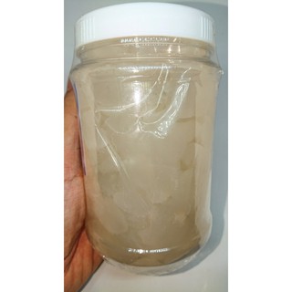 [500gram Thốt nốt non (Hạt thốt nốt)