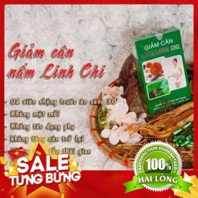 giảm cân nấm linh chi hồng minh