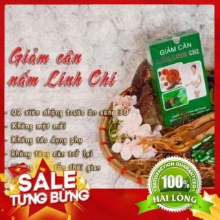 giảm cân nấm linh chi hồng minh