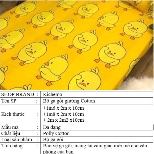 Bộ Ga Gối Giường Cotton Poly đủ màu đủ size ga giường miễn phí bo chun