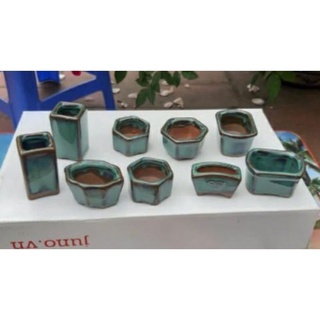 10 chậu bonsai siêu mini