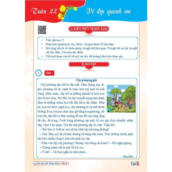 Sách - Combo Bài Tập Tuần và Đề Kiểm Tra Toán - Tiếng Việt lớp 2 - Kết nối tri thức với cuộc sống - Cả Năm (8 cuốn)