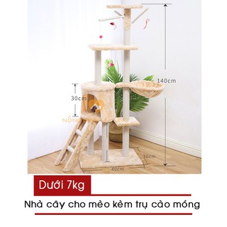 Cat Tree – Nhà Cây Cho Mèo Kèm Trụ Cào Móng 40x60x125cm