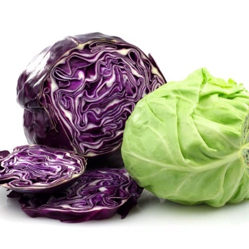 Hạt giống Bắp cải cuộn tím, Bắp cải cuộn xanh F1 - Cải thảo Dược bắp cuộn