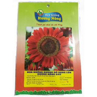 Hạt Giống Hoa Hướng Dương Đỏ