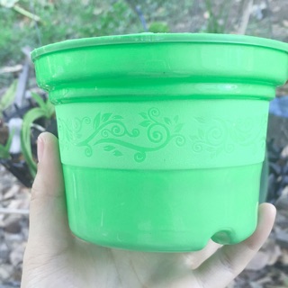 Chậu nhựa tròn