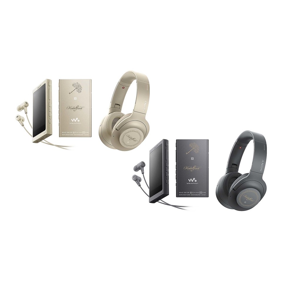 Tai Nghe bluetooth Sony WH-H900N