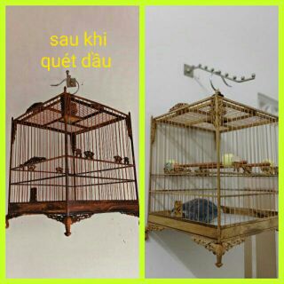 Dầu quét lồng chim