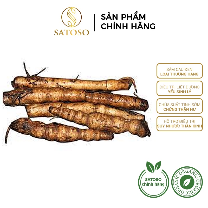Sâm cau đen (Tiên mao) SATOSO 1kg thượng hạng tốt cho sinh lực nam giới SA55