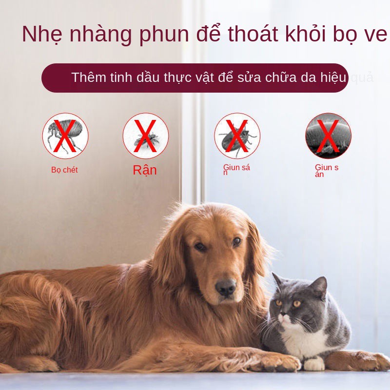 thuốc trị bọ chét cho chó trong ống nghiệm chống xịt diệt non Sản phẩm tẩy giun sánMUY