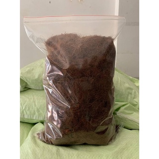 Cải Tạo Tình Trạng Hoang Hóa Bằng Mụn Xơ Dừa Đã Qua Xử Lý 5kg