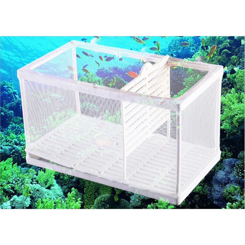 Lồng lưới dưỡng cá,lồng lưới cho cá đẻ loại lớn-Aqua__boy