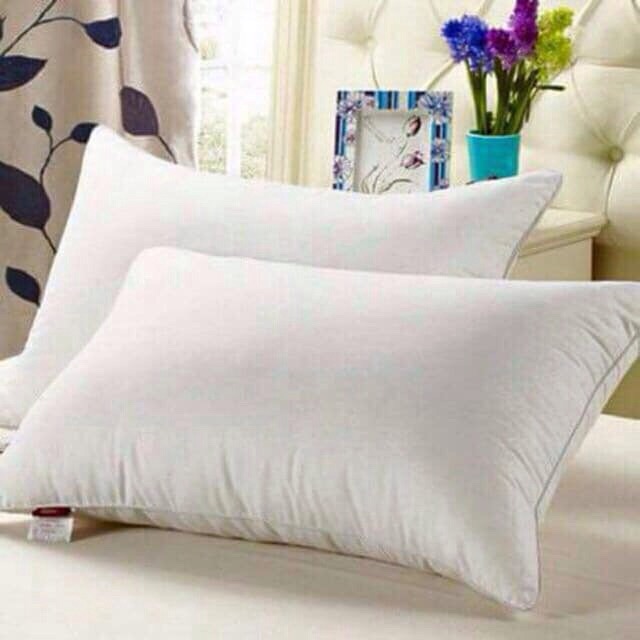Ruột Gối Bông Hạt(2 chiếc)